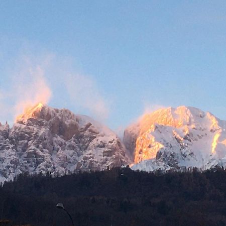 Comodamente Lejlighed Belluno Eksteriør billede