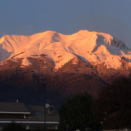 Comodamente Belluno Eksteriør billede