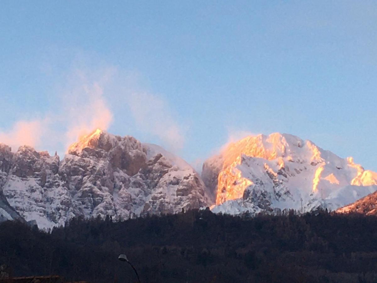 Comodamente Belluno Eksteriør billede